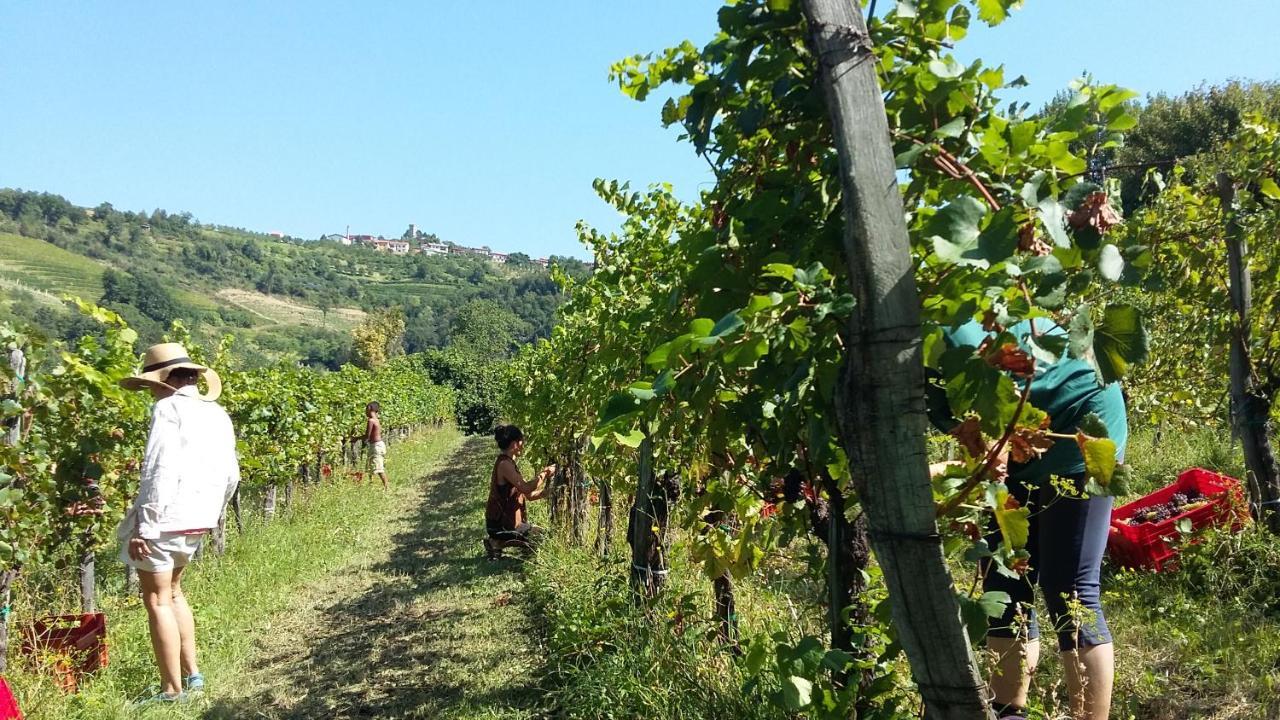 Farmstay Kmetija Stekar Kojsko エクステリア 写真