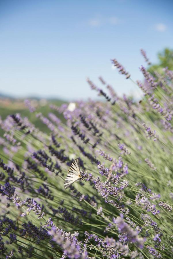 Farmstay Kmetija Stekar Kojsko エクステリア 写真