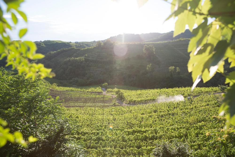 Farmstay Kmetija Stekar Kojsko エクステリア 写真