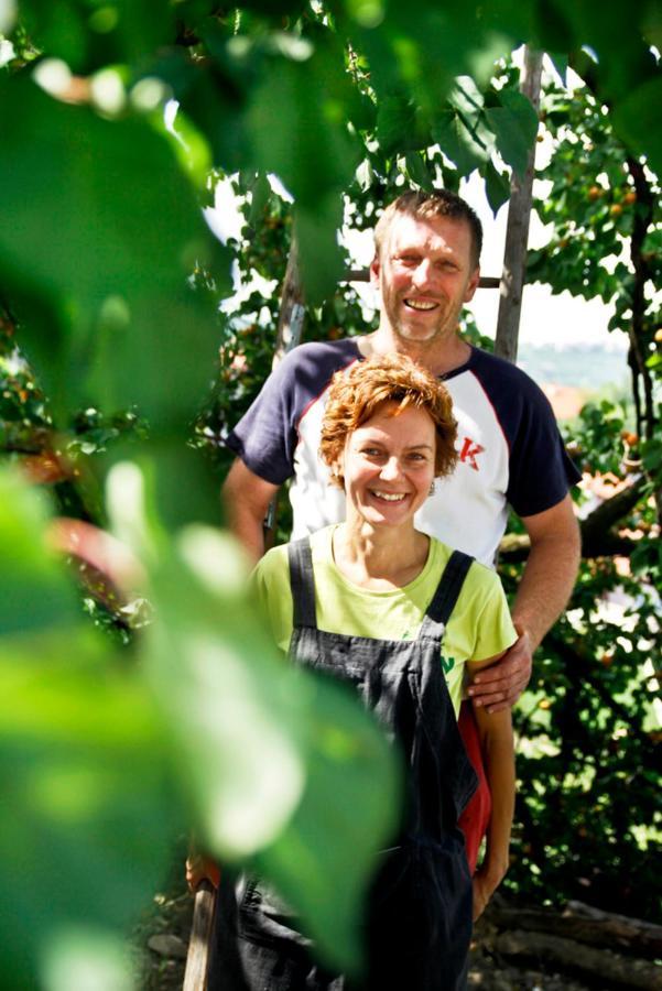 Farmstay Kmetija Stekar Kojsko エクステリア 写真