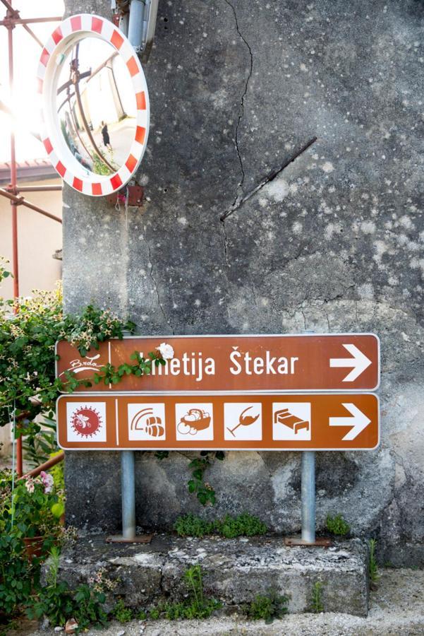 Farmstay Kmetija Stekar Kojsko エクステリア 写真