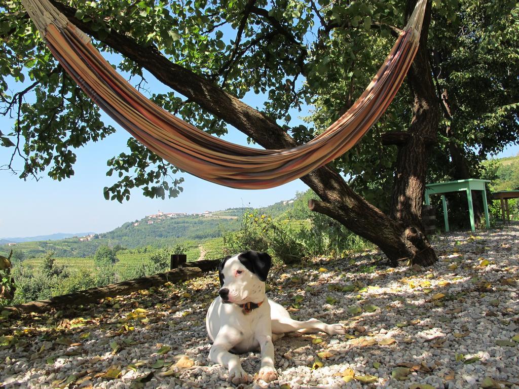 Farmstay Kmetija Stekar Kojsko エクステリア 写真