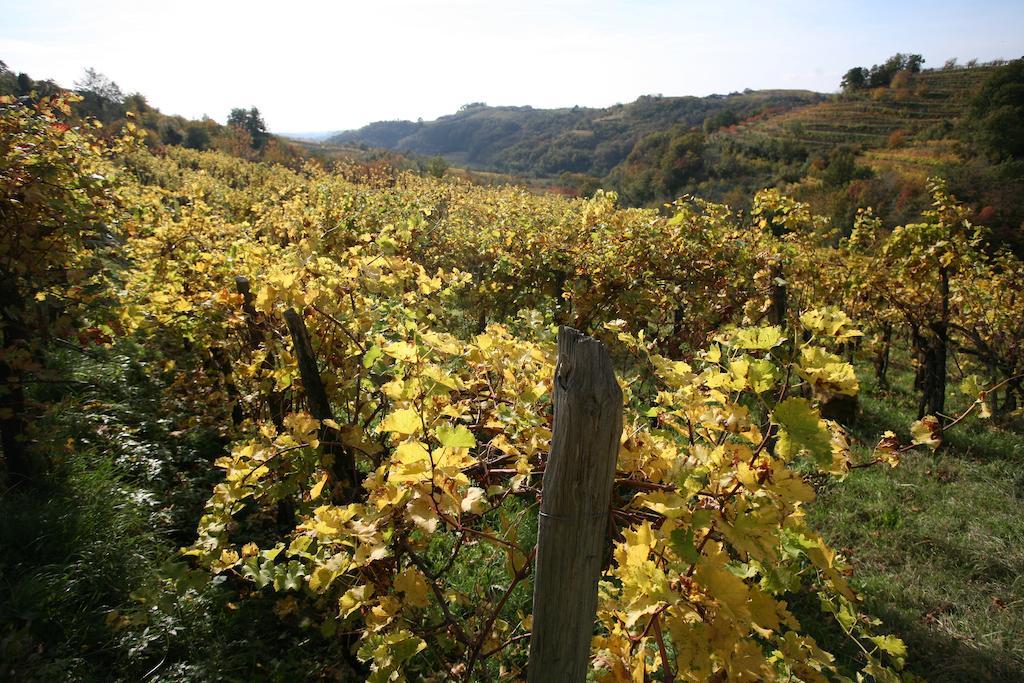 Farmstay Kmetija Stekar Kojsko エクステリア 写真