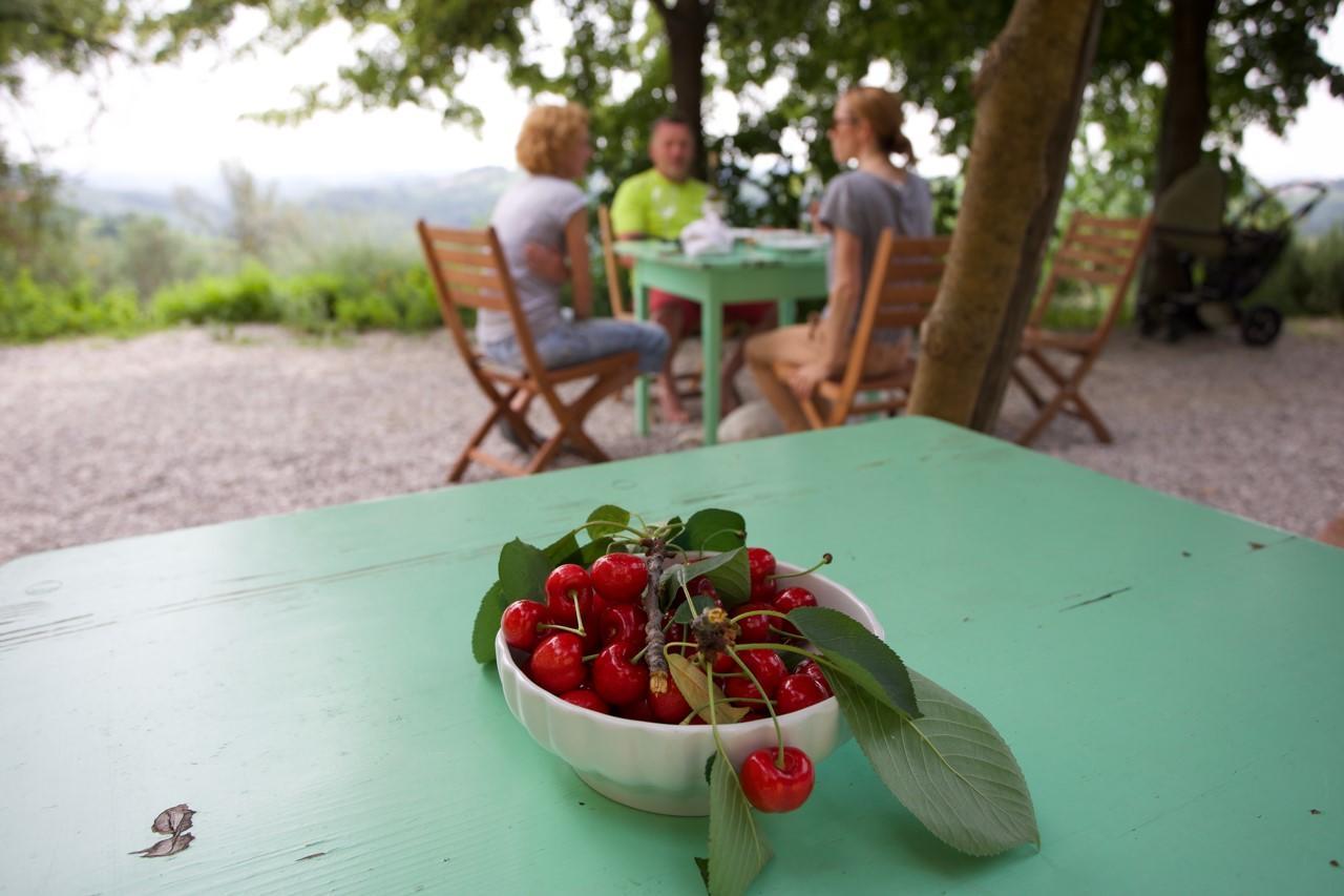 Farmstay Kmetija Stekar Kojsko エクステリア 写真