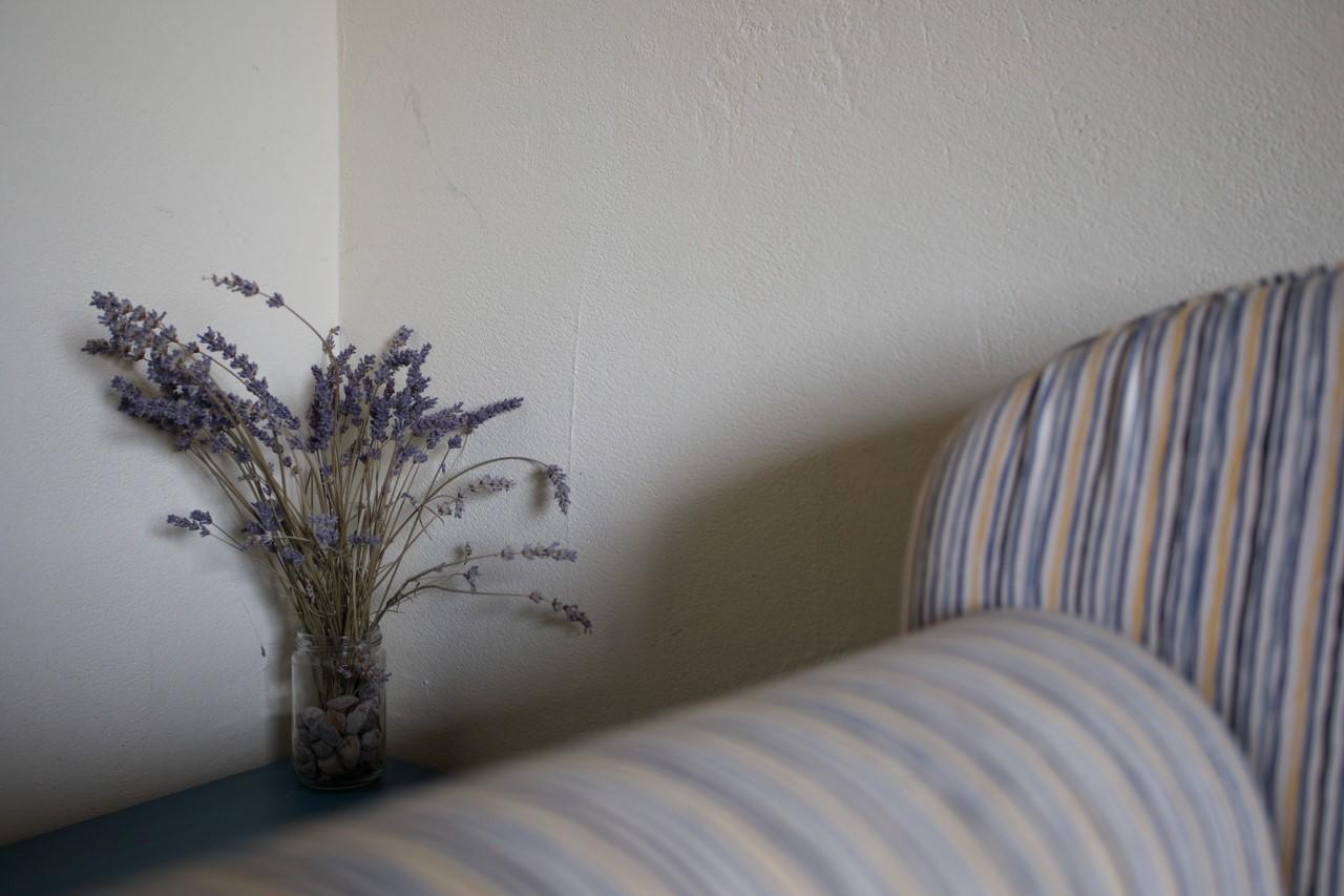Farmstay Kmetija Stekar Kojsko エクステリア 写真